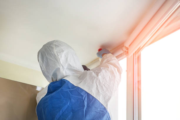 Best Industrial Mold Remediation  in Brookside, NJ