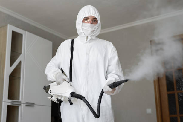 Best Emergency Mold Remediation  in Brookside, NJ